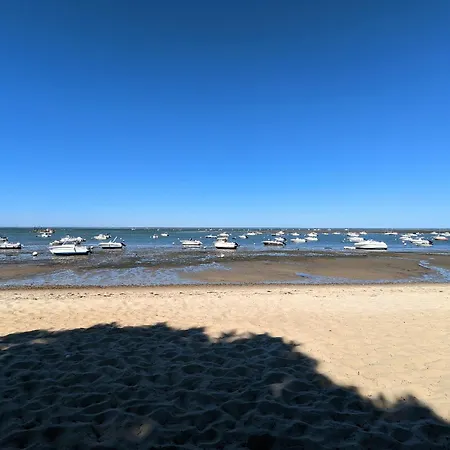 Apartment Spacieux T3 Rdc 75m², 2 Terrasses, Acces Plage, Vue Bassin, Parking, Quartier Aiguillon - Fr-1-420-117 *